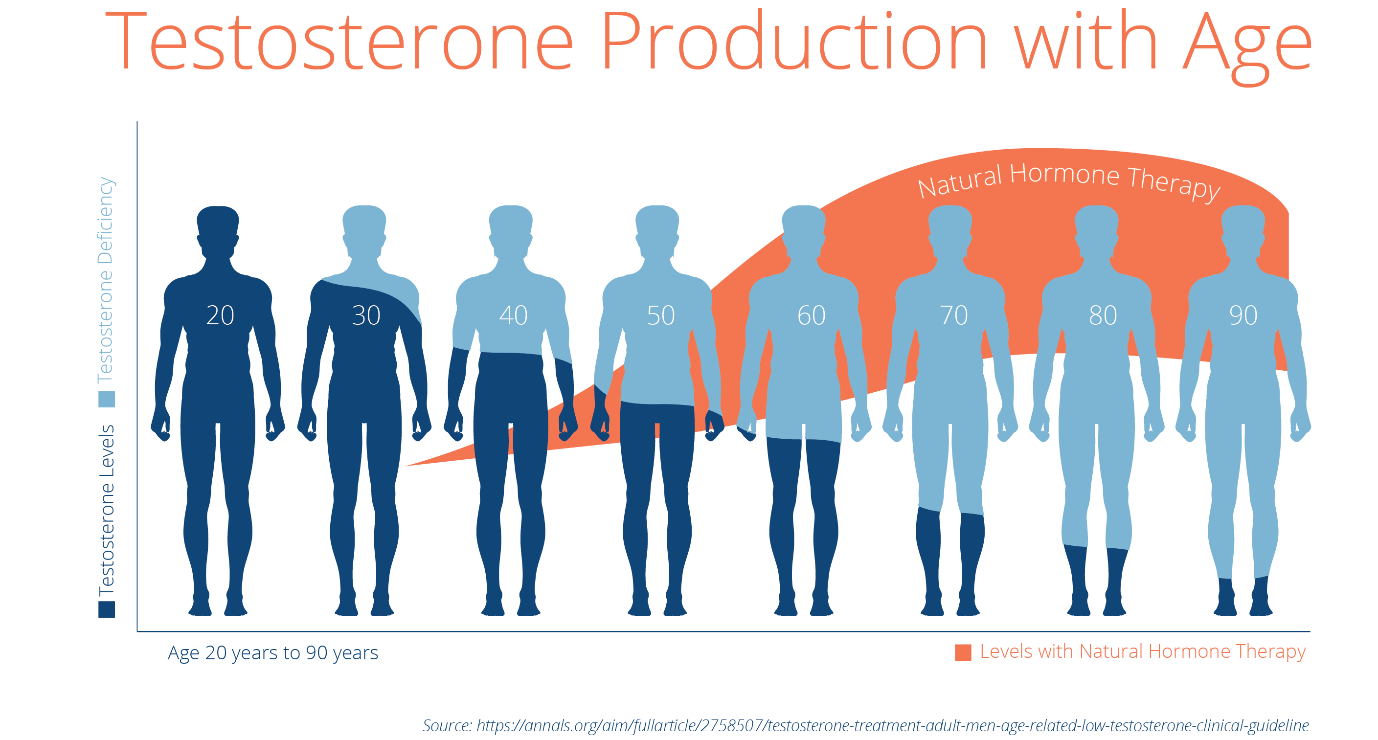 Testosterone Changes Chart