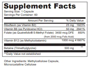 NL-PMETHYL60 - Facts Back