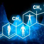 What Is BHRT Made From? A Comprehensive Guide to Bioidentical Hormone Replacement Therapy Ingredients